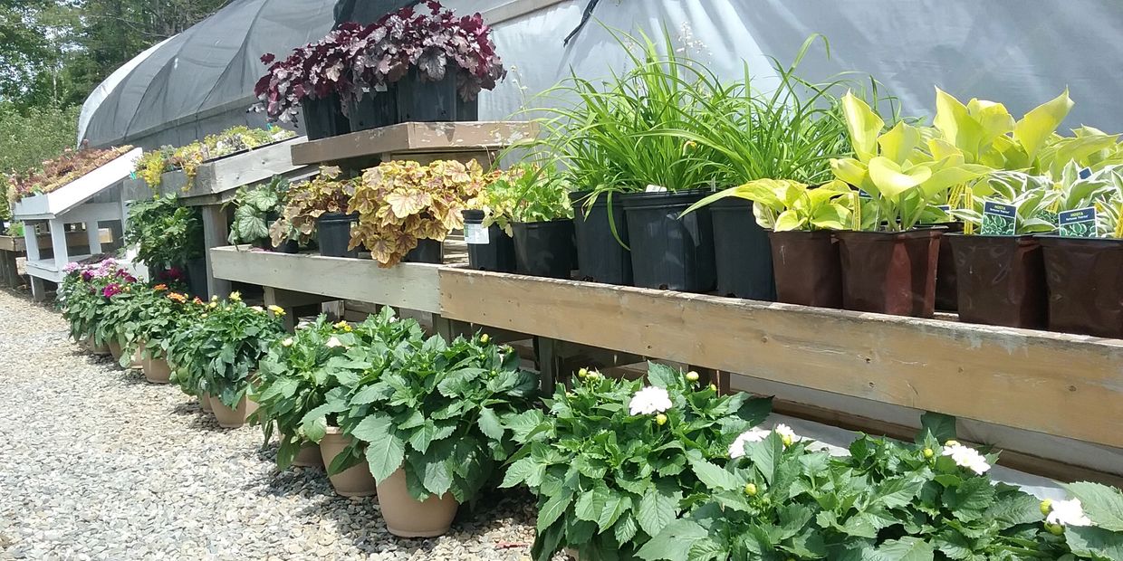 Nursery, Garden Center | Hancock & Ellsworth, ME | NewLand ...